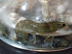 -港畔赶海蒸汽海鲜烧烤自助(仙螺岛店)