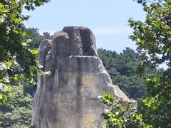 -燕塞湖鸟语林景区