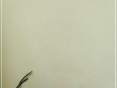 -大米先生(成都青龙街店)