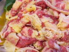 -杨小佳·齐齐哈尔烤肉·烤串(广州店)