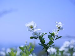 -午潮山国家森林公园