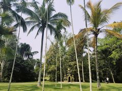 -中国科学院西双版纳热带植物园