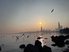 -深圳湾公园(南山区)