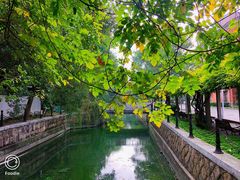 -同济大学(沪西校区)