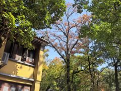 -灵谷景区