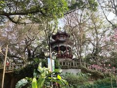 -乌山风景区