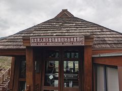 -三亚亚龙湾人间天堂鸟巢度假村