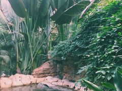 -龙达温泉生态城