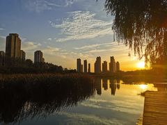 -前关湿地公园