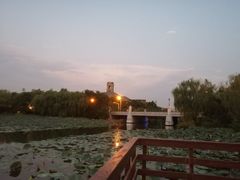 -新江湾城公园