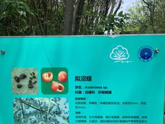 -上海吴淞炮台湾国家湿地公园