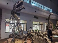 -自贡恐龙博物馆