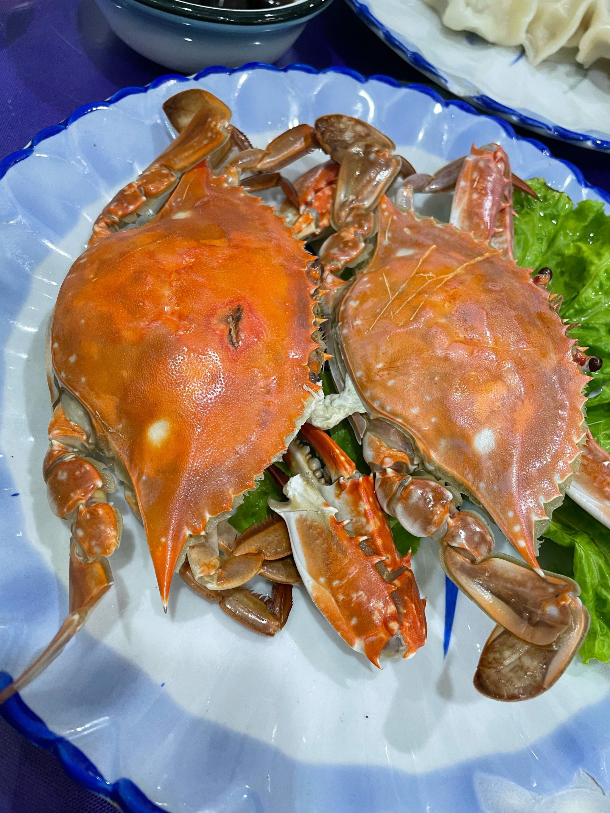 在青岛旅游这几天吃的还算不错的一顿
