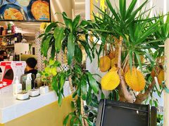 -猫王榴莲世家(三里屯SOHO商场店)