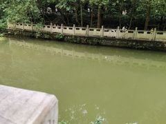 -黔灵山公园