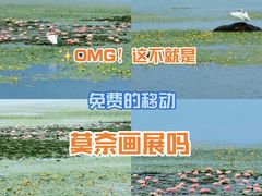 -苏州吴中太湖旅游区