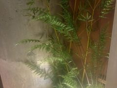 -茗知道茶馆(世博源店)