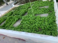 -黄兴公园
