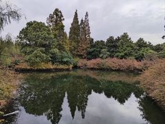 -上海滨江森林公园