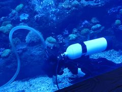 -华夏文旅海洋公园