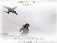 -空港花田景区