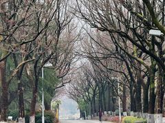 -白塘生态植物园