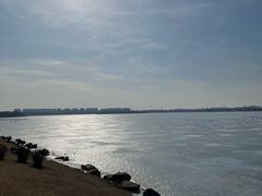 -丁香湖公园