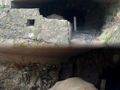 -上海佘山国家森林公园天马山园