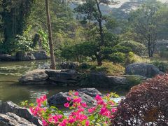 -东莞植物园