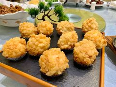 -丁老爷子苏香圆