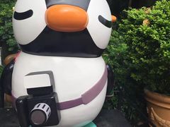 -九龙公园