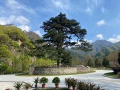 -秦岭终南山世界地质公园翠华山景区