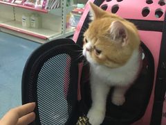 -瑞派宠物医院·24小时骨科·心脏·核磁(哈尔滨南岗店)