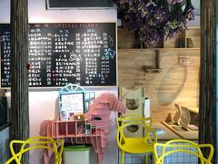 -喵屿·大理花园猫咖