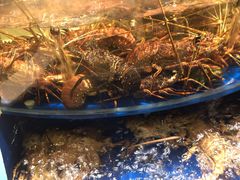 -海景壹号大酒店(滨湖店)