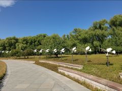 -野鸭湖国家湿地公园