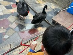 -常州花鸟园酒店(西太湖品牌优选店)