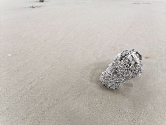 -南澳海滩