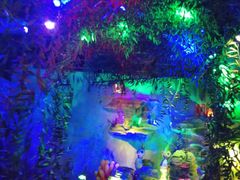 -青岛嘉年华主题乐园