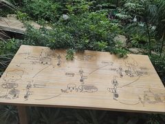 -南山植物园