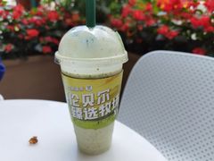 -茉酸奶(春熙路店)