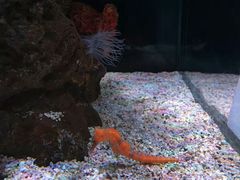 -暹罗海洋世界