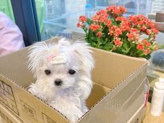 -萌兽医馆·眼科·异宠专科(三里屯店)