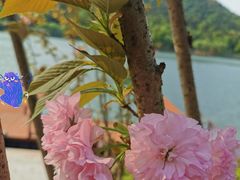 -石燕湖生态旅游景区