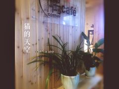 隅Cafe-隅cafe(傅厚岗店)