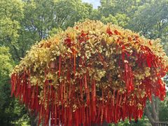 -狼山风景名胜区