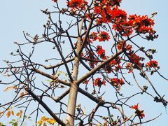 -文华公园(禅城区)