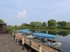 -苏州太湖湖滨国家湿地公园