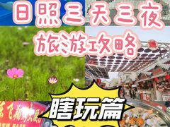 -日照海滨国家森林公园