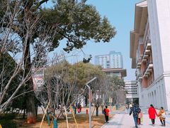 -长沙市青少年宫